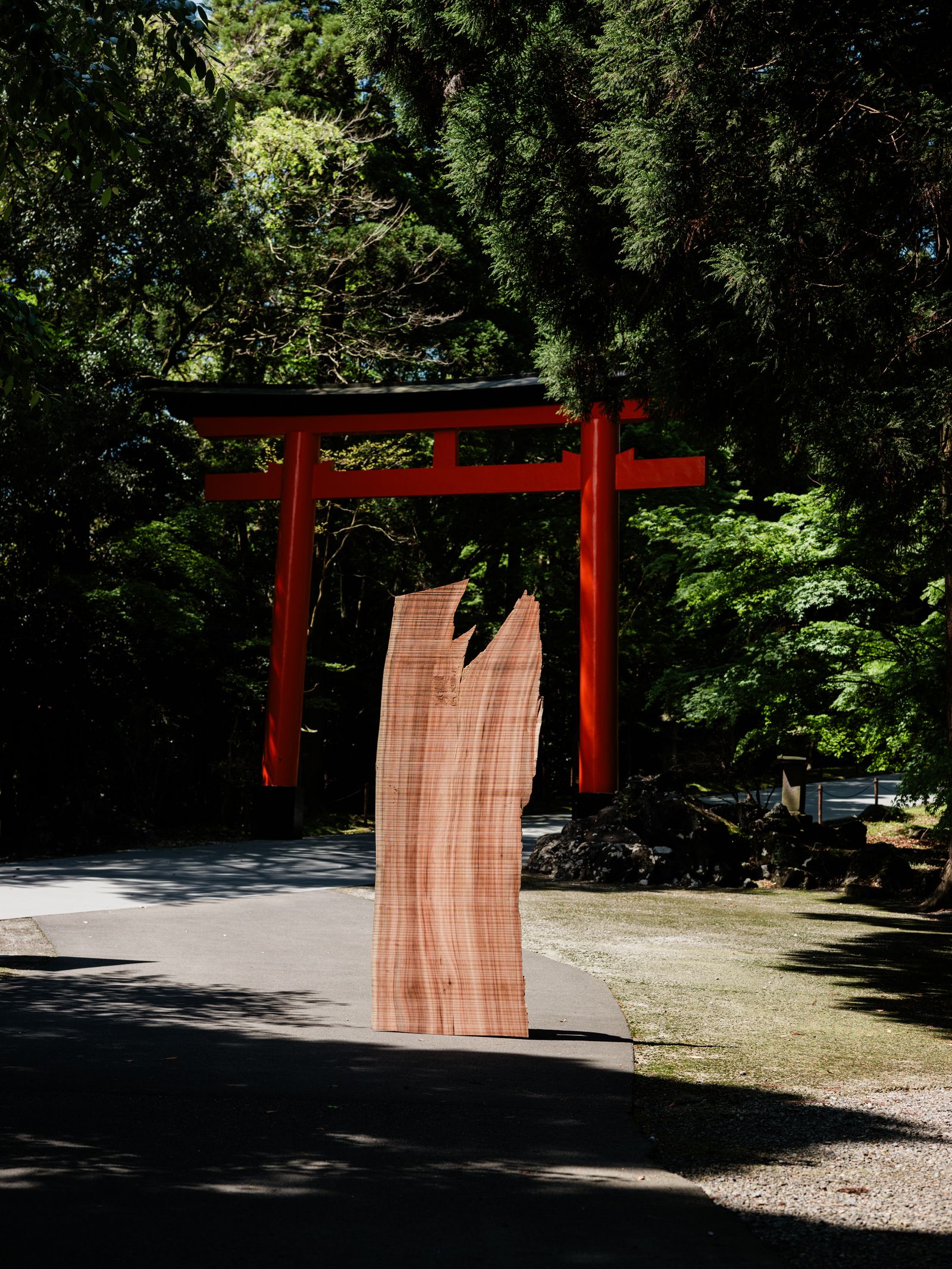 鳥居の前に立てた一枚板｜木六竹八