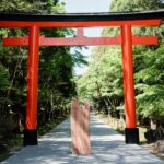 天然記念物だった木が天板になるまで｜文化財保護法と安全