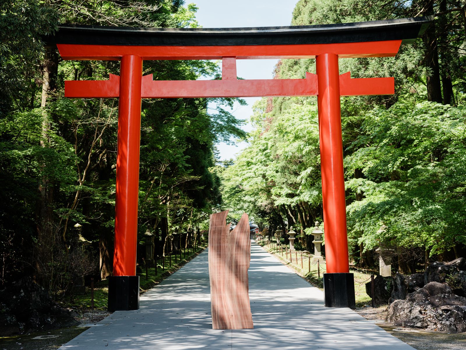 朱塗りの鳥居と一枚板|木六竹八