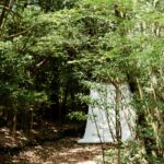 あさぎり町のヒノキ｜樹齢百数十年という贅沢