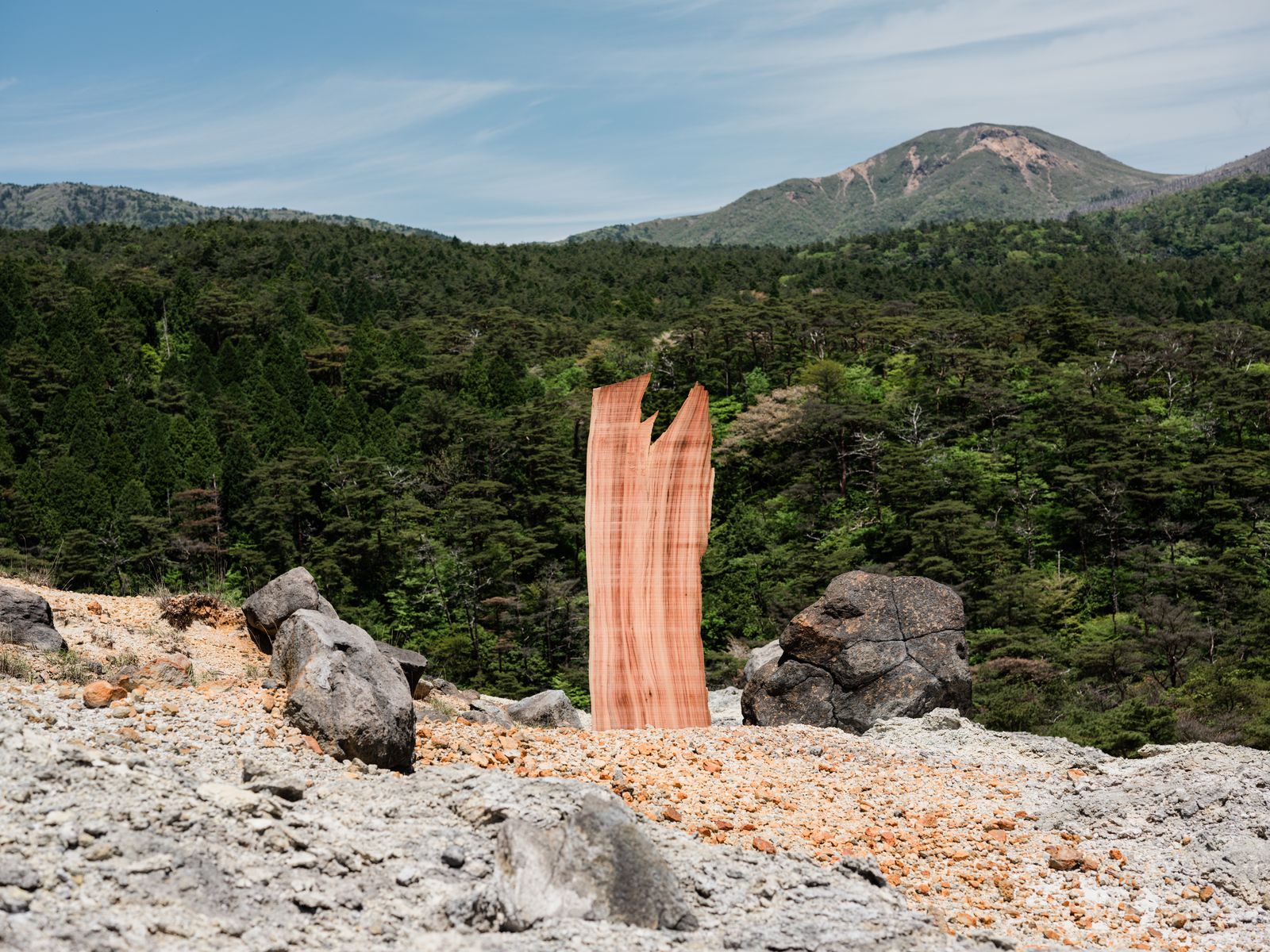 山を背景にした一枚板|木六竹八